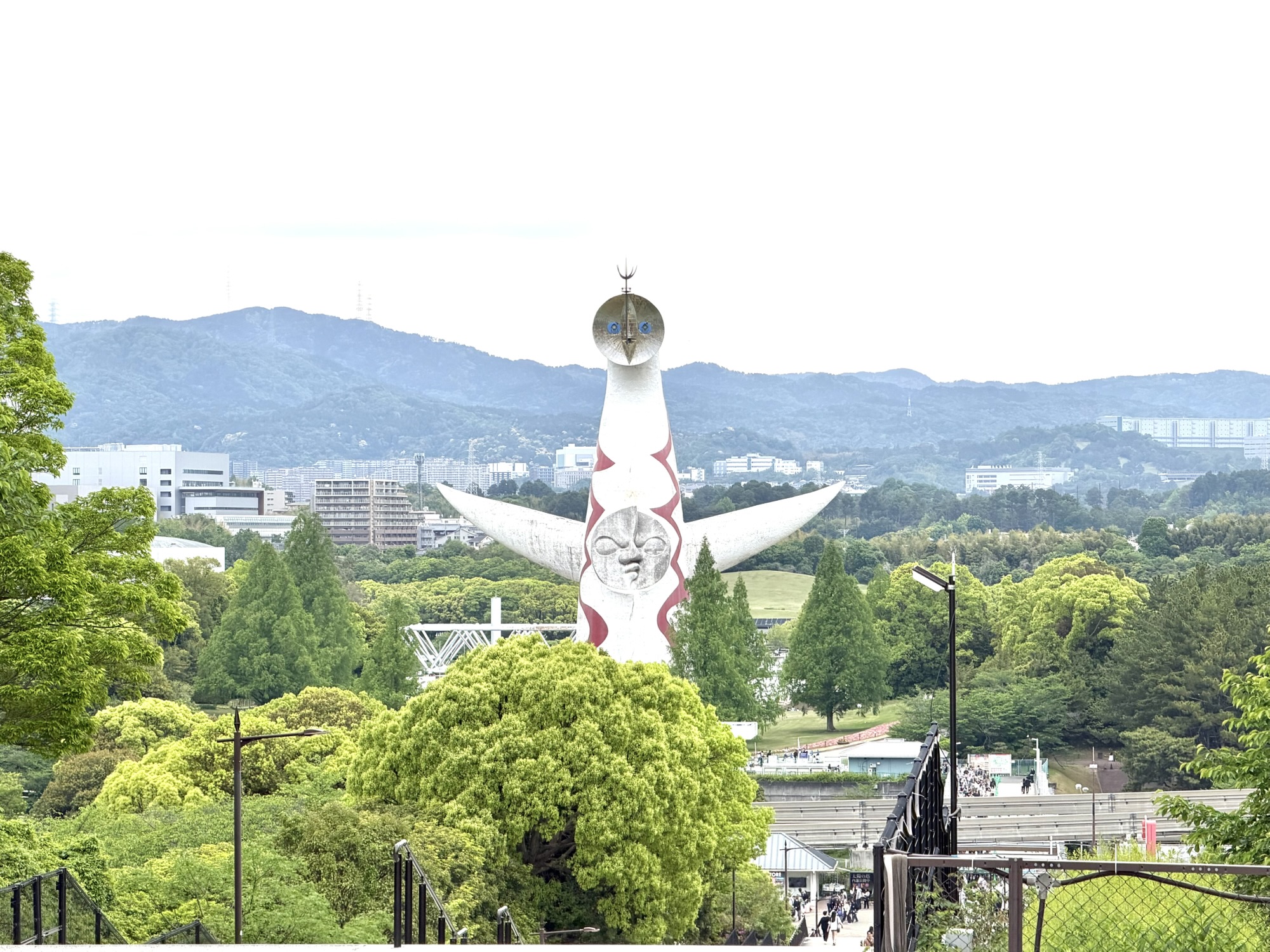 【近況報告】楽天ROOMを再開しました♪